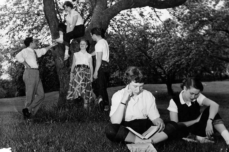 A group of students read and talk beneath a tree.